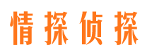 汉中外遇调查取证